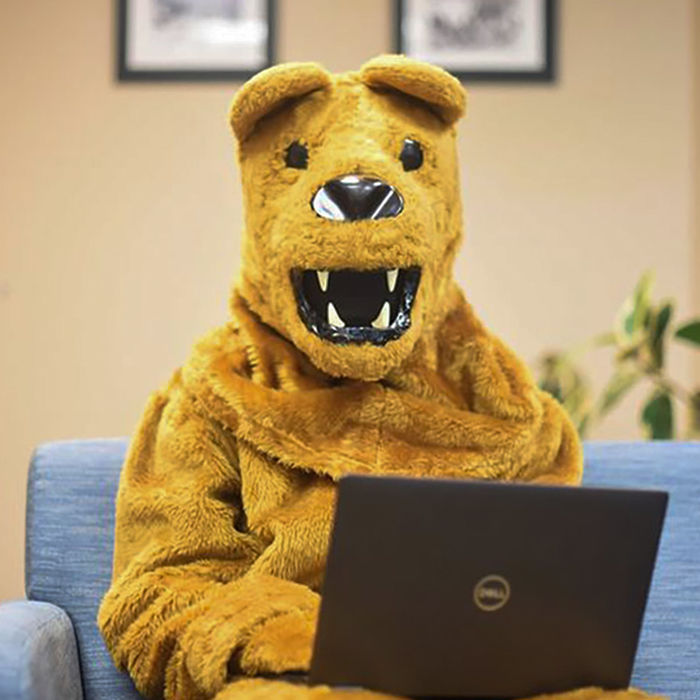 Lion mascot uses laptop while seated.